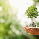 Suplinirea acordului parental pentru plecarea minorului in strainatate prin ordonanta presedintiala